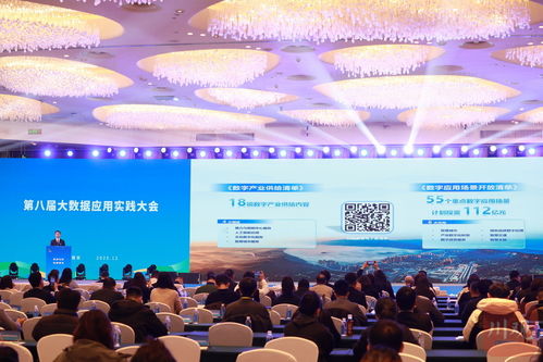 雅安发布数字产业供给暨应用场景开放清单 开启数字技术服务新篇章